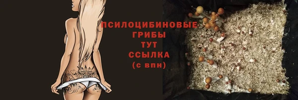 герыч Новозыбков