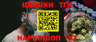 гашик Дубна