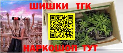 гашик Дубна