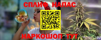 гашик Дубна