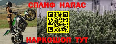 бошки Донецк