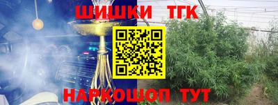 гашик Дубна