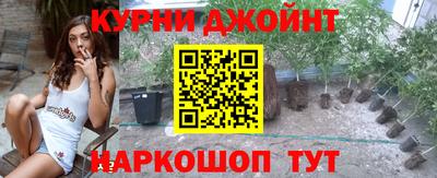 гашик Дубна