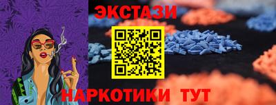 гашик Дубна